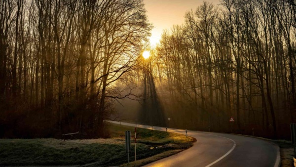 Towards Carbon Neutral Roads Global Lessons for a Low-Carbon Future
